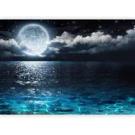 fototapeta-noc-ksiezyc-niebo-woda-blekit-magiczna-pelnia-pejzaz-3d-400x280