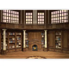 fototapeta-biblioteka-sciana-ksiazek-kominek-imitacja-do-salonu-3d-400x280