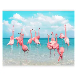 fototapeta-premium-rozowe-flamingi-w-blekitnej-wodzie-do-salonu-3d-350x256