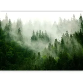 fototapeta-las-we-mgle-mgla-natura-krajobraz-zieleni-do-sypialni-3d-450x315