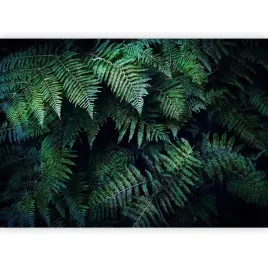 fototapeta-liscie-paproci-zielen-tapeta-do-salonu-sypialni-jadalni-450x315