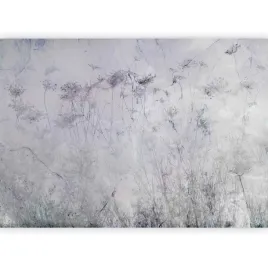 fototapeta-beton-laka-natura-szare-tlo-rosliny-boho-sciana-sypialni-450x315