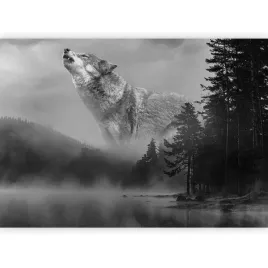 fototapeta-las-we-mgle-natura-wilk-drzewa-czarno-biala-tapeta-3d-400x280