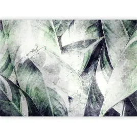 fototapeta-beton-liscie-bananowca-duze-imitacja-tapeta-do-sypialni-400x280