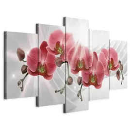 obraz-5-czesci-kwiaty-orchidea-storczyk-nowoczesna-dekoracja-salon-200x100