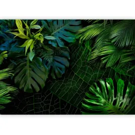 fototapeta-samoprzylepna-liscie-dzungla-monstera-tropikalny-las-3d-343x256