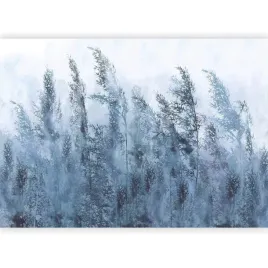 fototapeta-natura-trawa-mgla-niebieska-boho-laka-tapeta-do-salonu-400x280