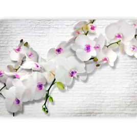 fototapeta-cegly-mur-orchidea-fiolet-biala-tapeta-scienna-do-salonu-400x280
