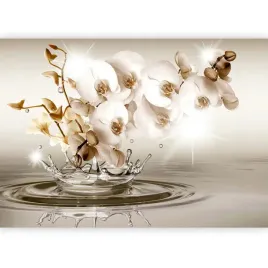 fototapeta-kwiaty-orchidea-storczyk-na-wodzie-nowoczesna-tapeta-3d-400x280