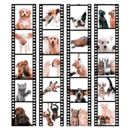 tapeta-rolka-film-zwierzeta-05x10m-g-c-0026-j-b