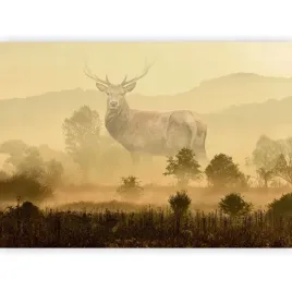 fototapeta-las-natura-jelen-krajobraz-lesny-drzewa-tapeta-salon-3d-400x280
