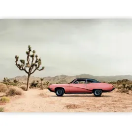 fototapeta-pustynia-samochod-cadillac-ameryka-krajobraz-preria-3d-400x280