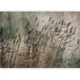 fototapeta-beton-trawa-natura-laka-bez-boho-tapeta-na-flizelinie-3d-400x280