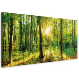 obraz-5-czesci-akustyczny-wygluszajacy-las-krajobraz-natura-jadalnia-200x80