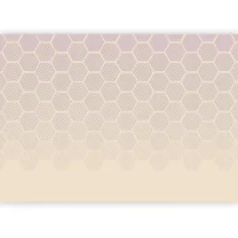 fototapeta-geometryczna-heksagony-bez-tapeta-na-sciane-salonu-3d-450x315