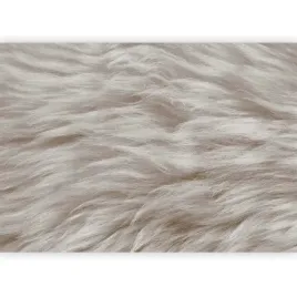 fototapeta-miekkie-futerko-futro-bezowe-imitacja-na-sciane-tapeta-400x280