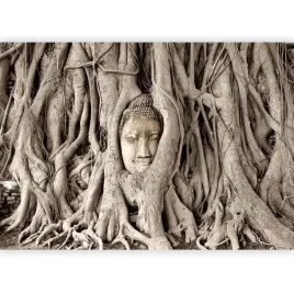 fototapeta-drzewo-budda-zen-korzenie-bez-tapeta-na-sciane-do-salonu-400x280