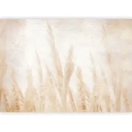 fototapeta-trawa-natura-zboze-boho-tapeta-na-sciane-sypialni-salon-400x280