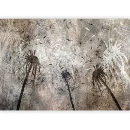 fototapeta-dmuchawce-beton-natura-tapeta-na-sciane-salonu-sypialni-400x280