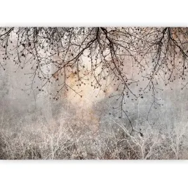 fototapeta-drzewo-galazki-boho-beton-na-scianie-do-salonu-sypialni-350x256