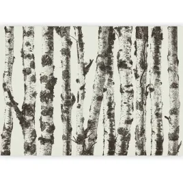 fototapeta-drzewa-brzozy-las-tapeta-na-sciane-salonu-sypialni-boho-400x280
