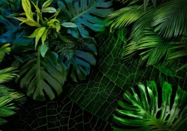 fototapeta-dzungla-zielone-liscie-monstera-las-tropikalny-tapeta-3d-400x280