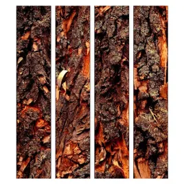 tapeta-rolka-drewno-tekstura-05x10m-f-a-0345-j-a