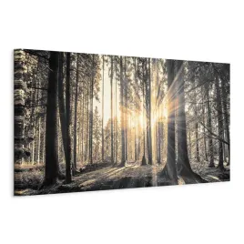 obraz-na-plotnie-sepia-duzy-las-natura-dekoracja-scienna-do-salon-xl-135x45