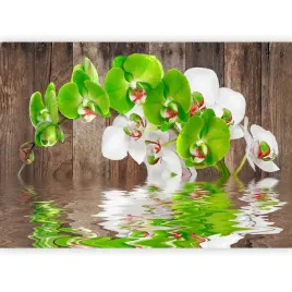 fototapeta-drewno-orchidea-kwiaty-natura-tapeta-scienna-do-sypialni-400x280