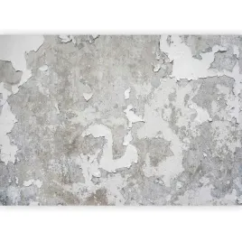 fototapeta-beton-stara-sciana-imitacja-loft-postarzana-salon-tapeta-400x280