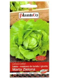 salata-maslowa-marta-zielona-1g-nasiona-smaczna-plenna-wczesna