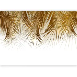 fototapeta-wiszace-liscie-palmy-poprocie-bez-tapeta-do-salonu-boho-350x256