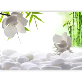 fototapeta-bambus-kwiaty-spa-biel-natura-zen-do-sypialni-na-sciane-400x280