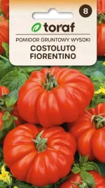 pomidor-wloski-costoluto-fiorentino-zebrowany-miesisty-plenny-aromatyczny