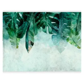fototapeta-wodoodporna-egzotyczne-liscie-do-kuchni-lazienki-400x280-gratis