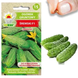 ogorek-gruntowy-wczesny-sremski-f1-nasiona-toraf-wczesny-odporny-5g