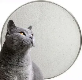 piasek-zwirek-dla-kota-do-kuwety-naturalny-10-kg-bezpieczny-suchy-jasny