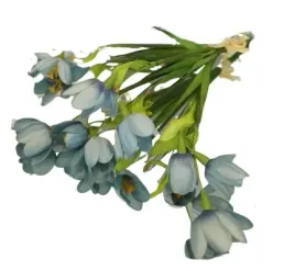 przebisnieg-niebieski-h31-na-piku-6-sztuk