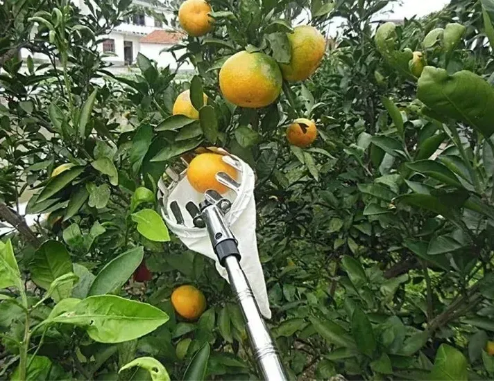 zbierak-do-owocow-podbierak-do-jablek-koszyk-kod-producenta-900200