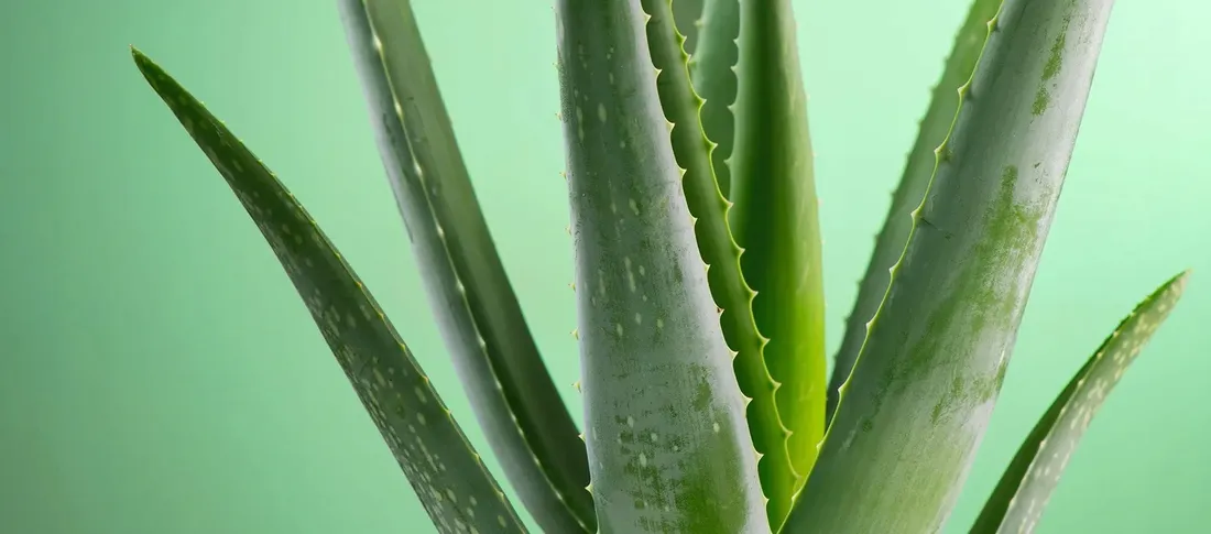 zel-apart-men-500-ml