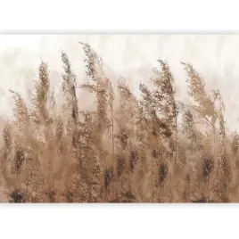 fototapeta-natura-trawa-mgla-bezowa-boho-laka-tapeta-scienna-salon-250x175