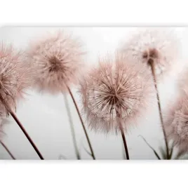 fototapeta-dmuchawce-natura-boho-pejzaz-laka-do-salonu-tapeta-3d-350x256