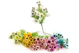 bukiet-anemon-anemony-35-cm-bialy-stan-nowy