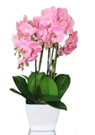 sztuczny-storczyk-w-doniczce-h62-5-pedow