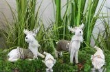 figurka-dekoracja-renifer-h30-decodomi-rodzaj-figurka