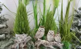 figurka-dekoracja-renifer-h30-decodomi-stan-nowy-kod-producenta-133235