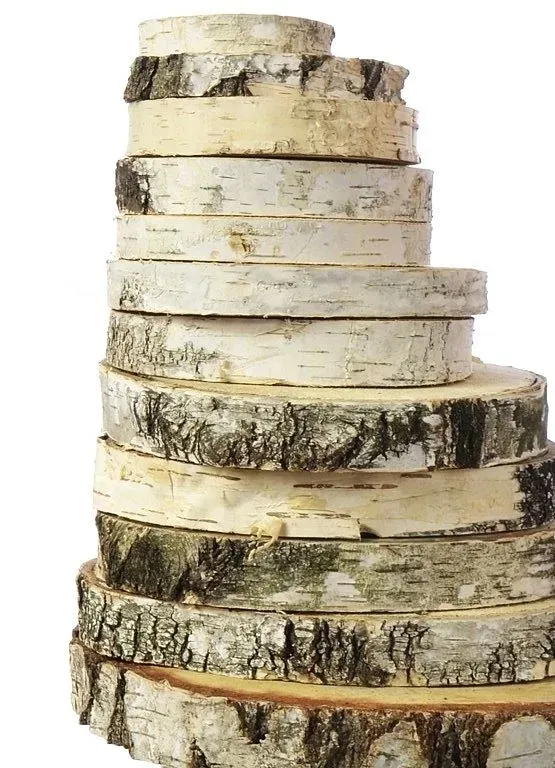 plaster-drewna-krazek-brzoza-19-23-cm