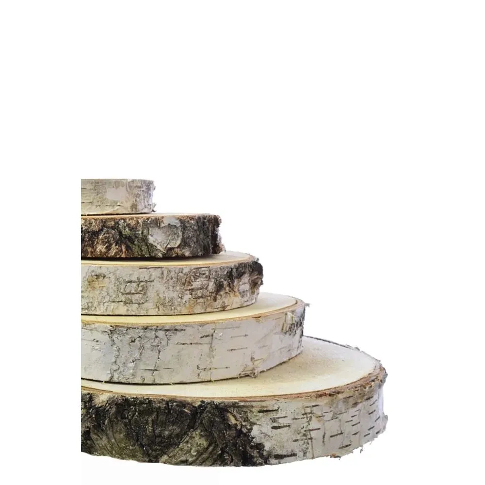 plaster-drewna-krazek-brzoza-19-23-cm