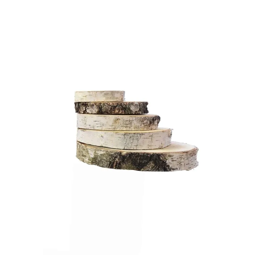 plaster-drewna-krazek-brzoza-19-23-cm