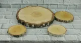 plaster-drewna-krazek-brzoza-19-23-cm-stan-nowy-marka-decodomi